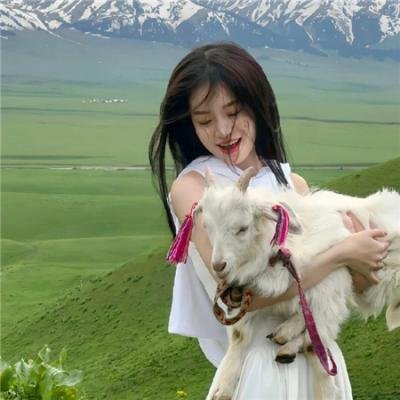 足球教练第三季封面
